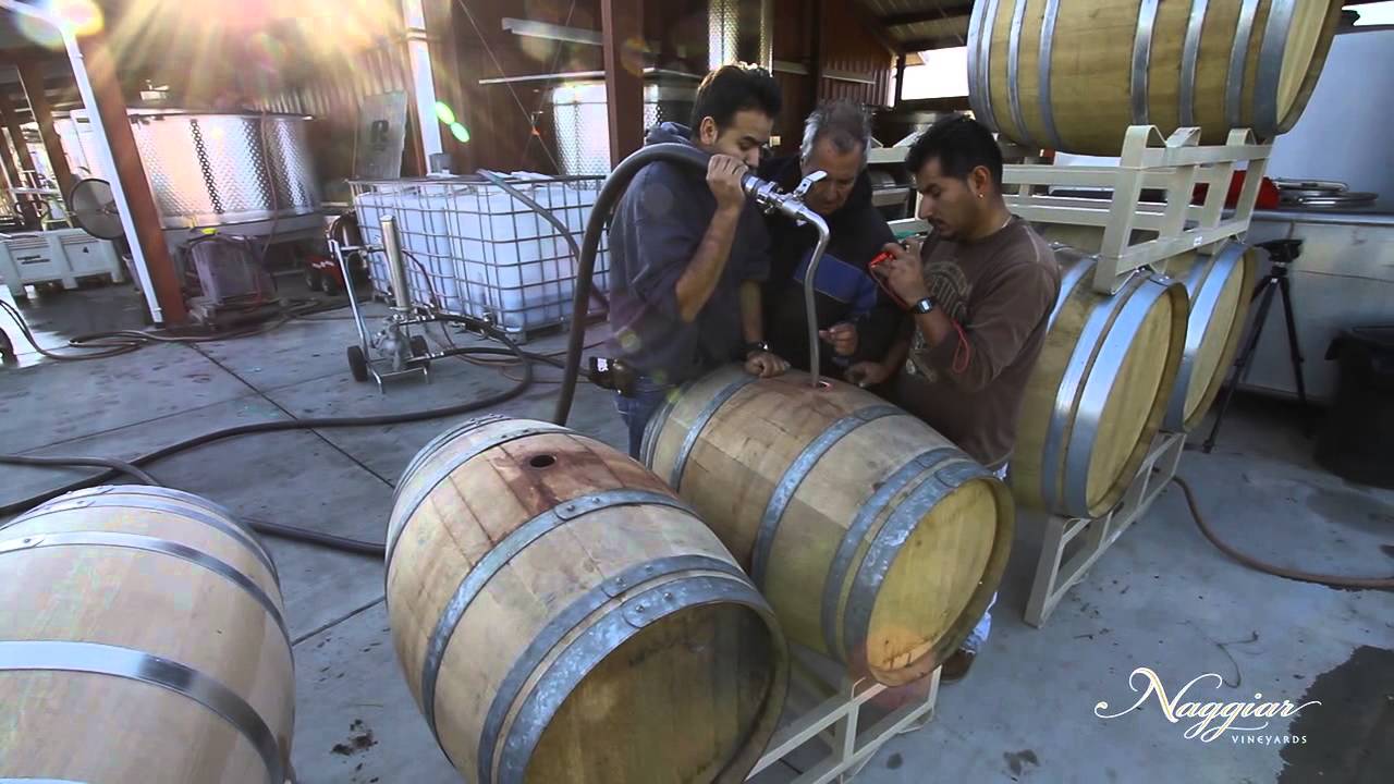 Contact Us The Daily Fruit Wine